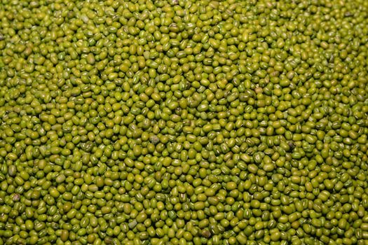 Green bean or mung bean background