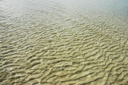 sand of a beach