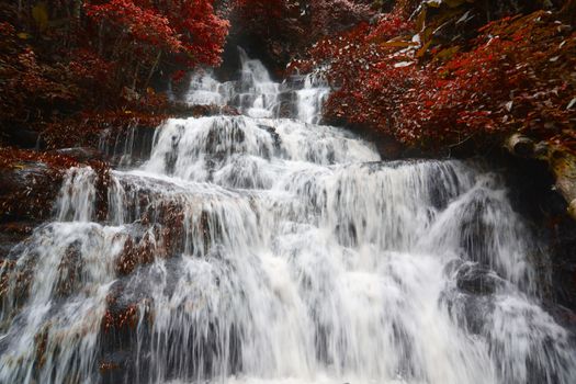 Man Daeng Waterfall 
Waterfall in deep rain forest jungle 
(Man Daeng Waterfall in Kok Sathon, Dan Sai, Loei , Thailand)
