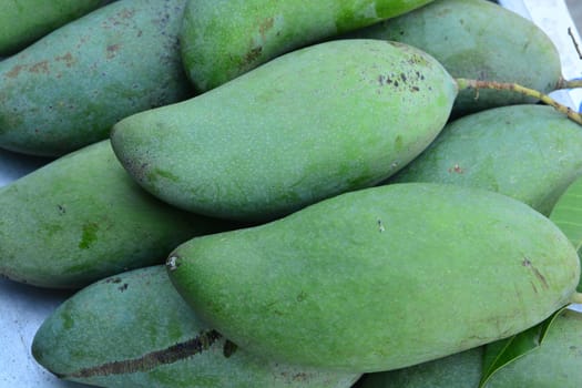 Green mangoes fruit