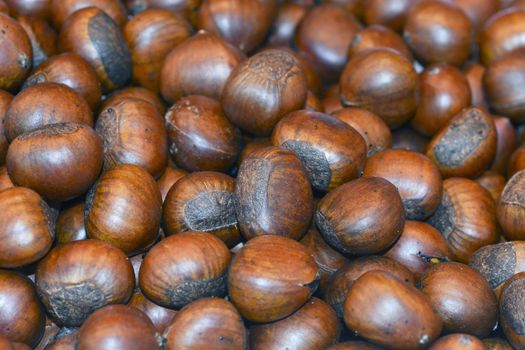 Group of edible chestnuts. 