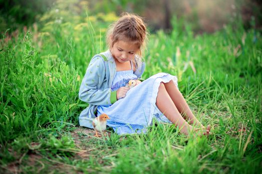 Little girl in a blue sundress sits in the grass and plays with a little chicken