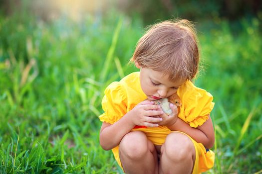 Little girl in a yellow dress sits in the grass in the village and gently hugs a little chicken