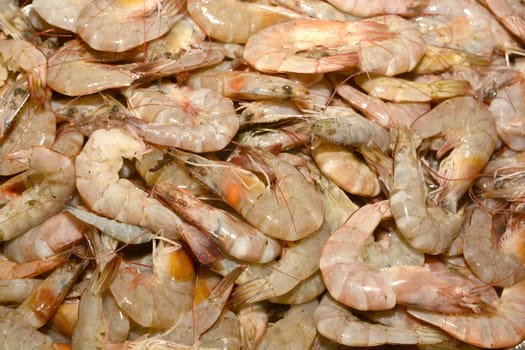 Fresh shrimp at the market for sell