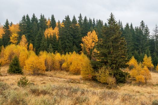 Autumn in the Rhodope Mountains, Bulgaria. Early morning.