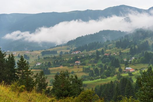 Green hills around Vacha dam, Rhodope Mountains, Plovdiv Region, Bulgaria.