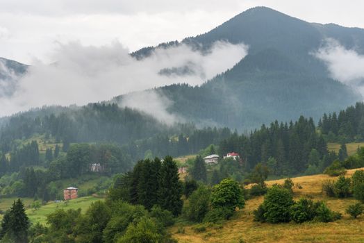 Green hills around Vacha dam, Rhodope Mountains, Plovdiv Region, Bulgaria.