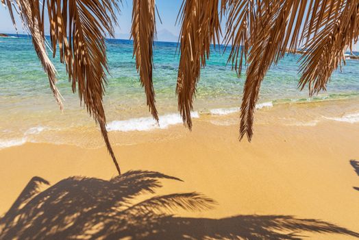 Beautiful Tigania beach on Greek peninsula Sithonia, part of larger peninsula Chalkidiki.