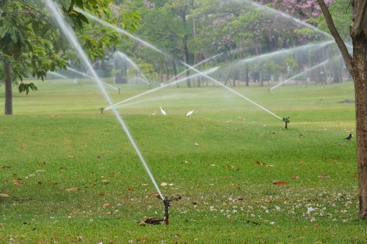 Gardening. Lawn sprinkler spraying water over green grass. Irrigation system - technique of watering in the garden.