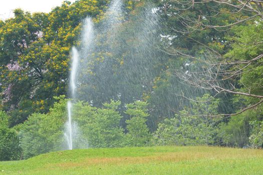 Gardening. Lawn sprinkler spraying water over green grass. Irrigation system - technique of watering in the garden.