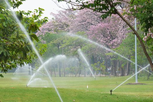 Gardening. Lawn sprinkler spraying water over green grass. Irrigation system - technique of watering in the garden.