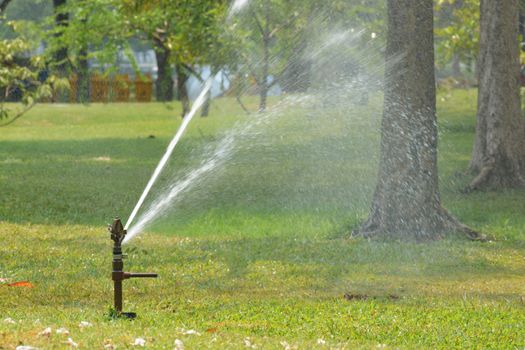 Gardening. Lawn sprinkler spraying water over green grass. Irrigation system - technique of watering in the garden.