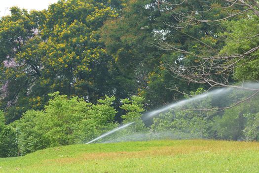 Gardening. Lawn sprinkler spraying water over green grass. Irrigation system - technique of watering in the garden.