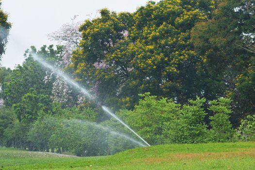 Gardening. Lawn sprinkler spraying water over green grass. Irrigation system - technique of watering in the garden.