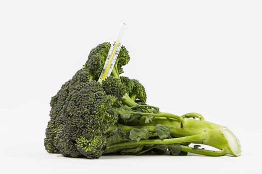 The sick broccoli. Stretched out, tired and with the thermometer: interpretation of the nature that undergoes the exploitation of the numans