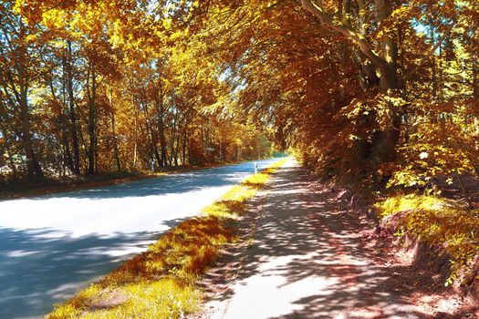 Beautiful panorama view on a golden autumn landscape in the middle of october