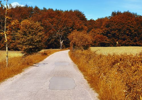 Beautiful panorama view on a golden autumn landscape in the middle of october