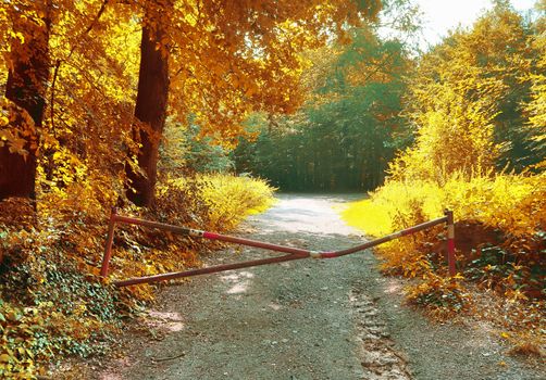 Beautiful panorama view on a golden autumn landscape in the middle of october