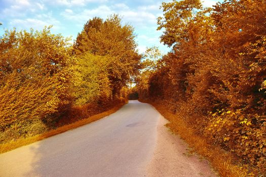 Beautiful panorama view on a golden autumn landscape in the middle of october