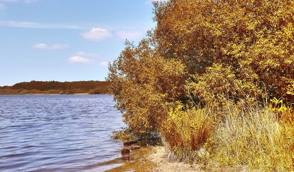 Beautiful panorama view on a golden autumn landscape in the middle of october