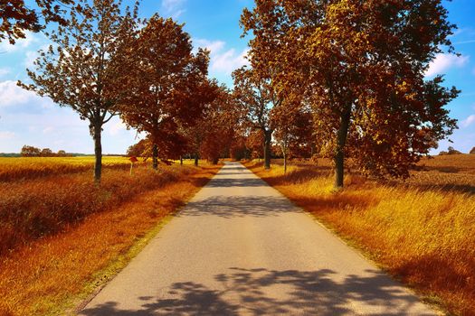 Beautiful panorama view on a golden autumn landscape in the middle of october