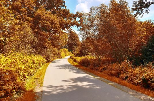 Beautiful panorama view on a golden autumn landscape in the middle of october