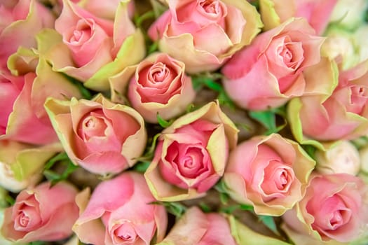 bouquet of colorful fresh roses in flower shop.