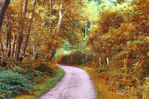 Beautiful panorama view on a golden autumn landscape in the middle of october