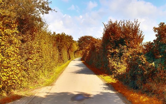 Beautiful panorama view on a golden autumn landscape in the middle of october