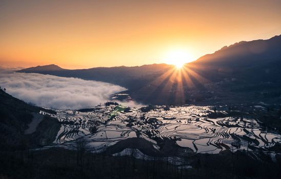 Terraced rice fields of YuanYang , China with beautiful sun rise