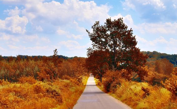 Beautiful panorama view on a golden autumn landscape in the middle of october