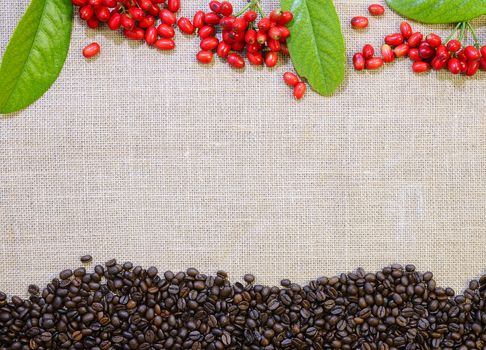 Coffee beans on the table with a burlap.