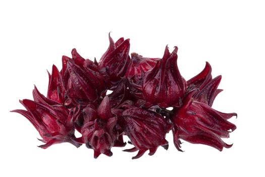 Roselle Hibiscus sabdariffa red fruit flower on white background.