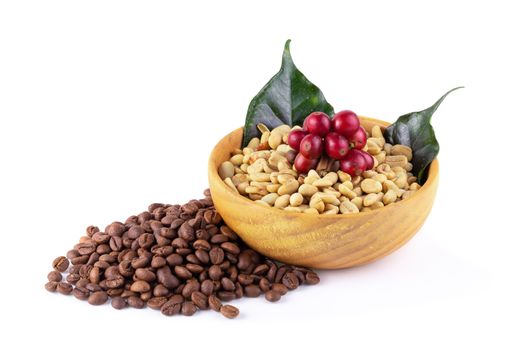 Fresh Coffee Red Berry branch ,Coffee beans and Roasted coffee beans isolated on white background.
