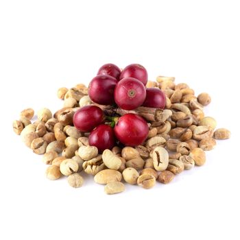 Fresh Coffee Red Berry branch and Coffee beans isolated on white background.