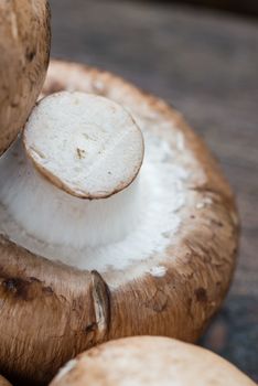 Macro of fresh brown champignons mushrooms, Agaricus bisporus, on wood