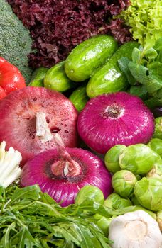 A close-up on vegetable, red onions, cucumbers, brussels cabbage, garlic, rucola salad, mint, broccoli