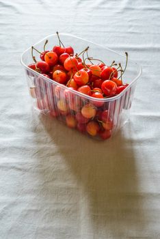 Morello cherries in a plastic crate on a white table linen