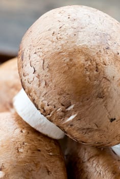 Macro of fresh brown champignons mushrooms, Agaricus bisporus, on wood