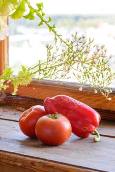 Two tomatoes and one red pepper close to the wooden window. Lettuce flowers blooming around.