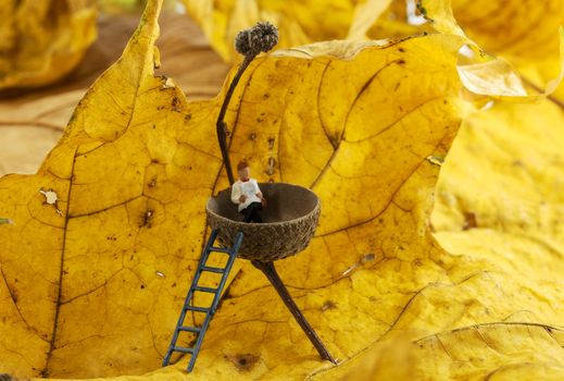 man resting and reading newspaper in a acorn cab with autumn leaves as background