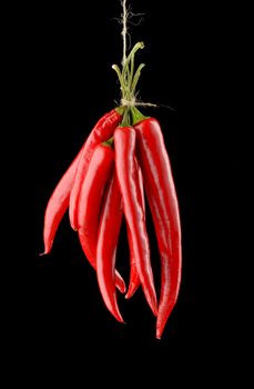 Hanged hot red chili peppers isolated on black background