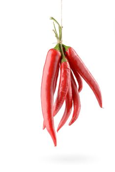 Hanged hot red chili peppers isolated on white background