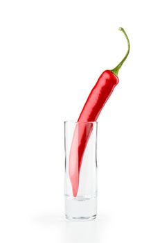 One hot red chili pepper in a vodka glass, isolated on white background