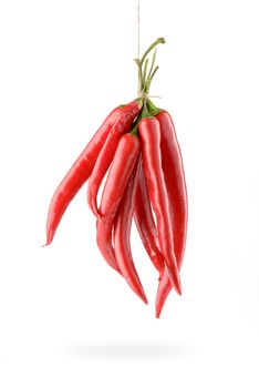 Hanged hot red chili peppers isolated on white background