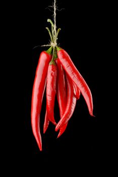 Hanged hot red chili peppers isolated on black background