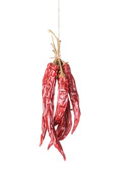 Hanged dry and sear hot red chili peppers isolated on white background