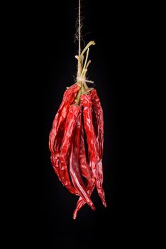 Hanged dry and sear hot red chili peppers isolated on black background