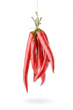Hanged hot red chili peppers isolated on white background