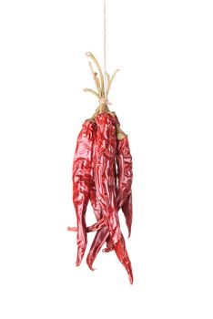 Hanged dry and sear hot red chili peppers isolated on white background